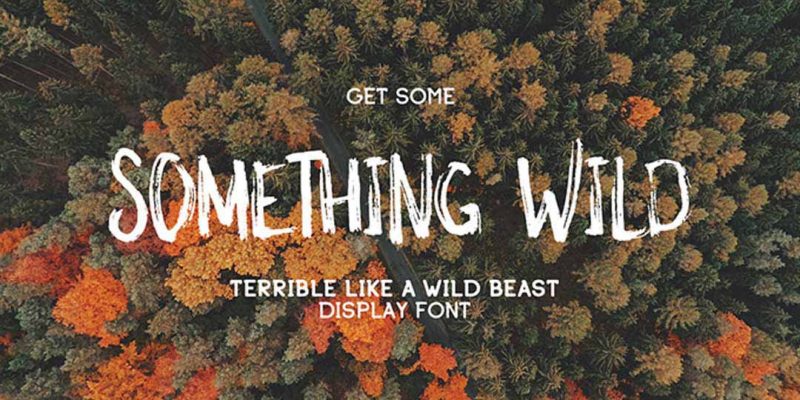 Font Something Wild