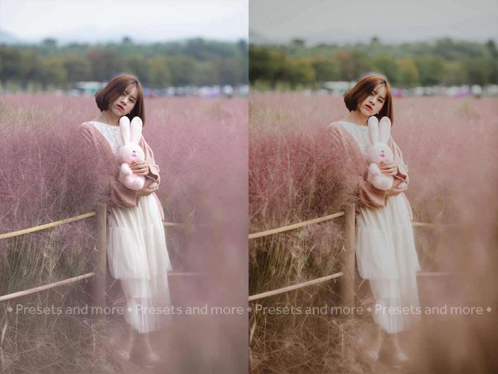 pink muhly grass preset