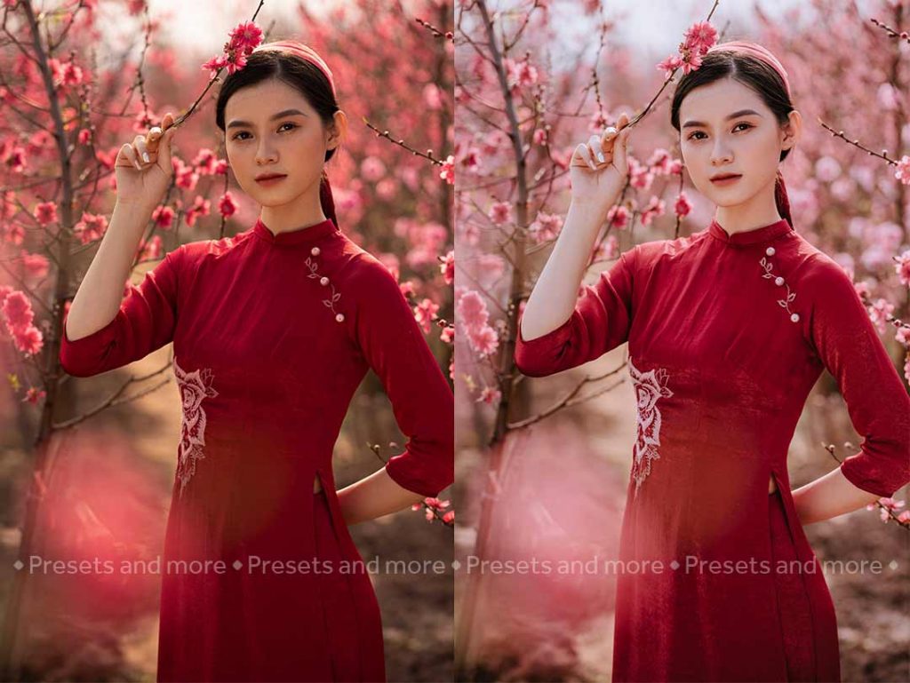 preset chụp đào tết